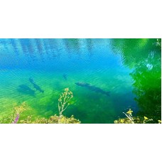 Folly Lake