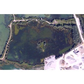 Koi Lake
