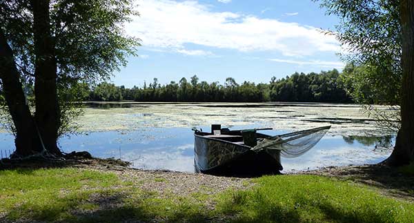 Moderate Lakes